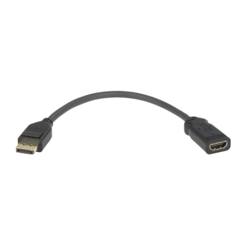 DisplayPort Male to HDMI Female Converter Cable